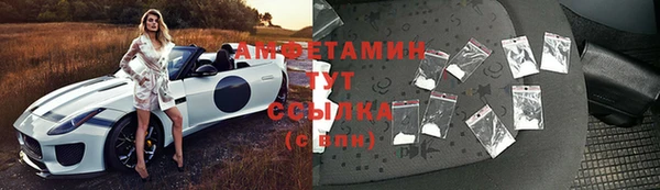 шишки Медногорск