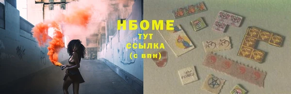 шишки Медногорск
