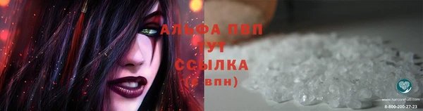 сатива Михайловск