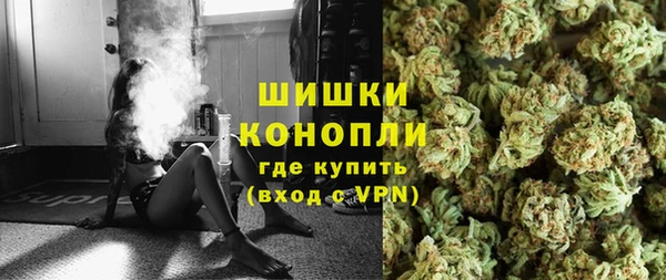 мдпв Магас