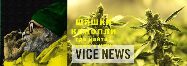 мдпв Магас