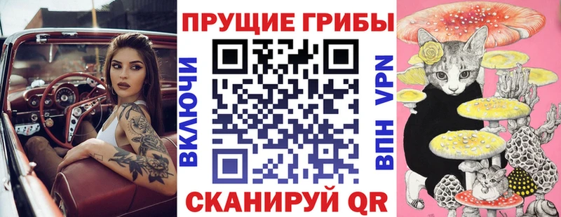 Псилоцибиновые грибы MAGIC MUSHROOMS  дарнет шоп  Мосальск 